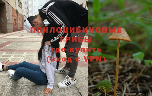 таблы Алексеевка