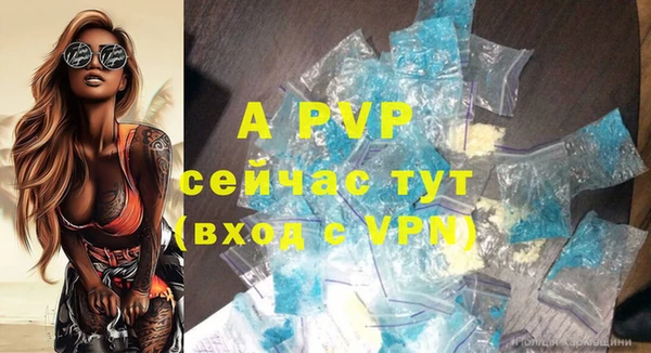 твердый Алексин