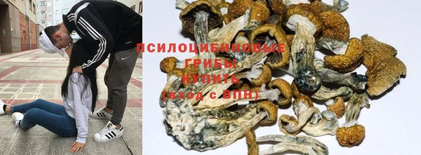 не бодяженный Алзамай