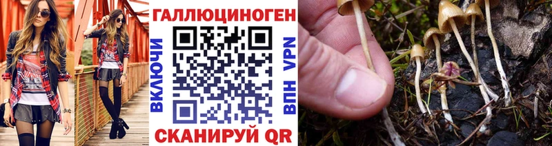 Галлюциногенные грибы Cubensis  KRAKEN маркетплейс  Усолье-Сибирское 