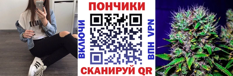 Бошки Шишки семена  как найти   Усолье-Сибирское 